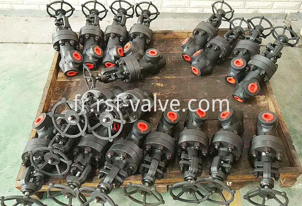 Forged Angle Globe Valve 1